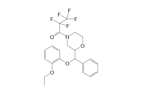 Reboxetine PFP