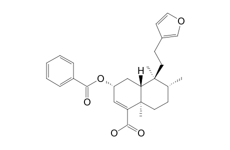 15,16-EPOXY-2-ALPHA-BENZOYLOXYCLERODA-3,13-(16),14-TRIEN-18-OIC_ACID;REL-(3-R,4A-R,5-R,6-S,8A-S)-3-(BENZOYLOXY)-5-