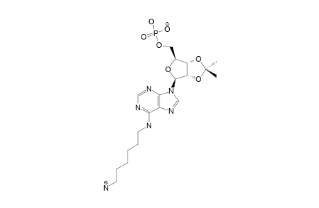 2',3'-ISOPROPYLIDENE-N6-AMINOHEXYL-ADENOSINE-5'-MONOPHOSPHATE;N6-HM-AMP-AC