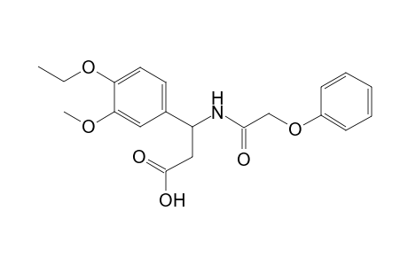 3-(4-Ethoxy-3-methoxy-phenyl)-3-(2-phenoxyethanoylamino)propanoic acid