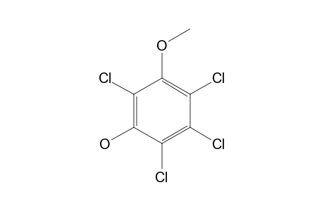 3-Methoxy-2,4,5,6-tetrachloro-phenol