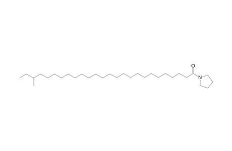 24-Methyl-hexacosanoic acid, pyrrolidide