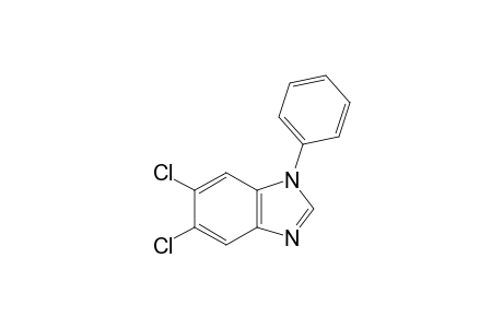 5,6-dichloro-1-phenylbenzimidazole