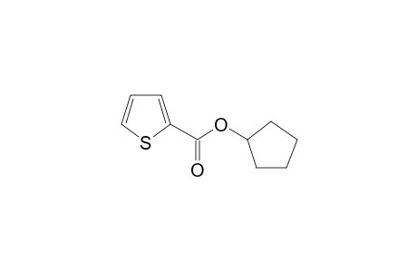 2-Thiophenecarboxylic acid, cyclopentyl ester