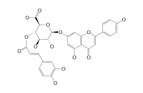 APIGENIN_7-O-BETA-D-(4''-CAFFEOYL)GLUCURONIDE
