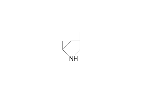 cis-2,4-Dimethyl-pyrrolidine