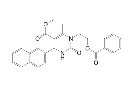 1-(Benzoyloxyethyl)-6-methyl-2-oxo-4-(2-naphthyl)-1,2,3,4-tetrahydropyrimidine-5-carboxylic acid methyl ester