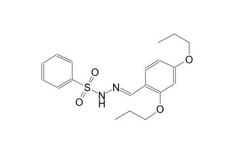 N'-[(E)-(2,4-dipropoxyphenyl)methylidene]benzenesulfonohydrazide