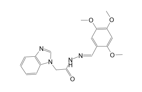 1H-benzimidazole-1-acetic acid, 2-[(E)-(2,4,5-trimethoxyphenyl)methylidene]hydrazide