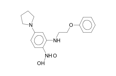 O-phenyl-N-(2-nitro-5-pyrrolidinophenyl)ethanolamine