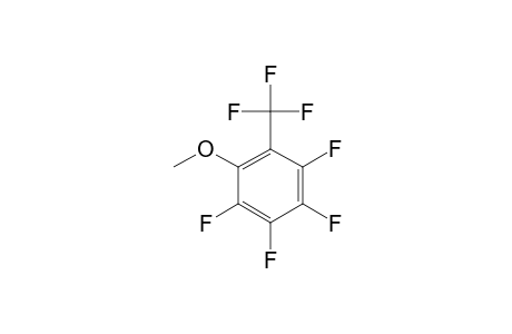 2-METHOXYHEPTAFLUOROTOLUENE