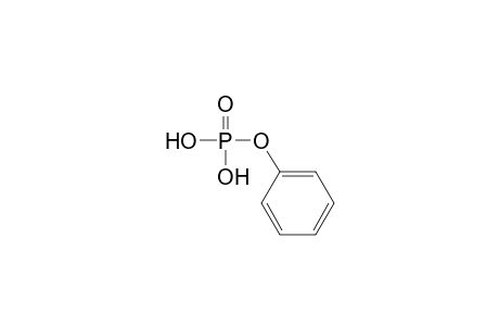 phosphoric acid, monophenyl ester