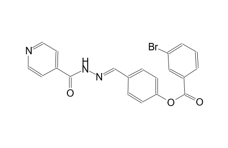 4-pyridinecarboxylic acid, 2-[(E)-[4-[(3-bromobenzoyl)oxy]phenyl]methylidene]hydrazide