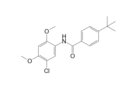 4-tert-butyl-5'-chloro-2',4'-dimethoxybenzanilide