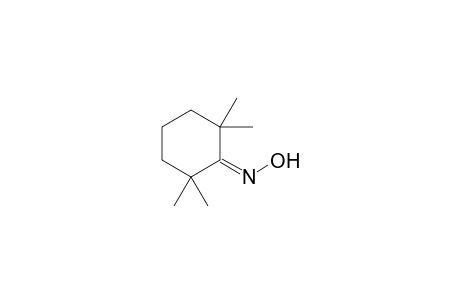 2,2,6,6-Tetramethylcyclohexanone Oxime