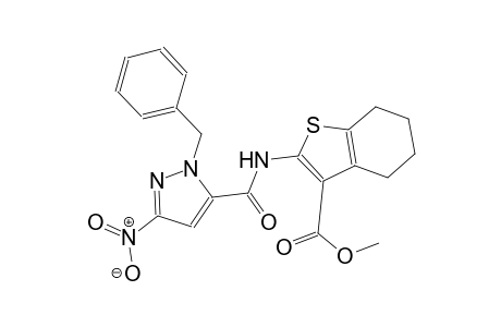 methyl 2-{[(1-benzyl-3-nitro-1H-pyrazol-5-yl)carbonyl]amino}-4,5,6,7-tetrahydro-1-benzothiophene-3-carboxylate