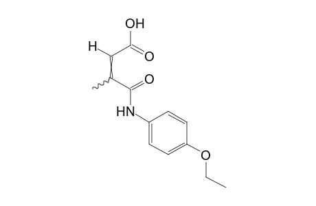 3-[(p-ETHOXYPHENYL)CARBAMOYL]CROTONIC ACID