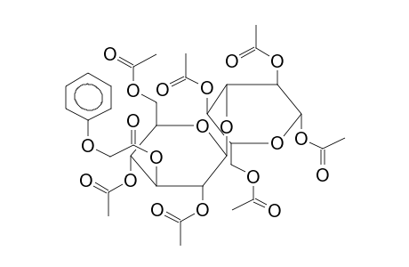 1,2,4,6-TETRA-O-ACETYL-3-O-(2,4,6-TRI-O-ACETYL-3-O-PHENOXYACETYL-BETA-D-GLUCOPYRANOSYL)-BETA-D-GLUCOPYRANOSE