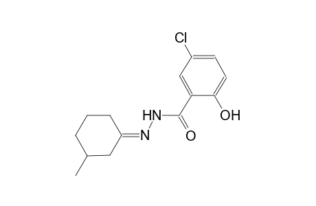 5-chloro-2-hydroxy-N'-[(1E)-3-methylcyclohexylidene]benzohydrazide