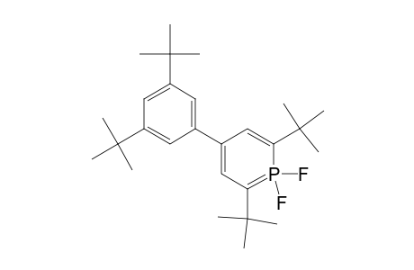 Phosphorin, 4-[3,5-bis(1,1-dimethylethyl)phenyl]-2,6-bis(1,1-dimethylethyl)-1,1-d ifluoro-1,1-dihydro-