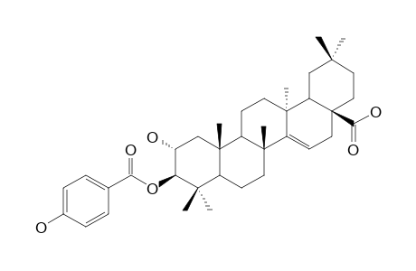 2-ALPHA-HYDROXYALEURITOLIC-ACID-3-PARA-HYDROXYBENZOATE