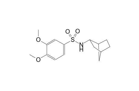 N-bicyclo[2.2.1]hept-2-yl-3,4-dimethoxybenzenesulfonamide