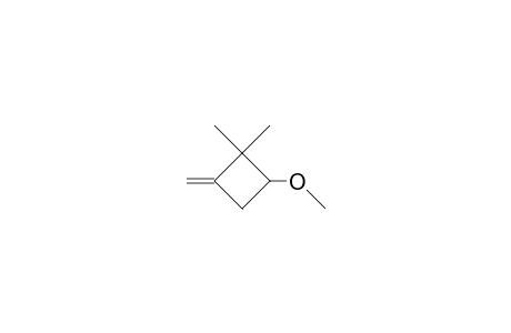 2,2-Dimethyl-3-methoxy-1-methylene-cyclobutane