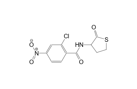 benzamide, 2-chloro-4-nitro-N-(tetrahydro-2-oxo-3-thienyl)-