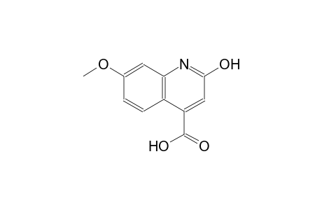4-quinolinecarboxylic acid, 2-hydroxy-7-methoxy-