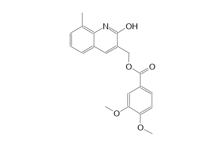 (2-hydroxy-8-methyl-3-quinolinyl)methyl 3,4-dimethoxybenzoate