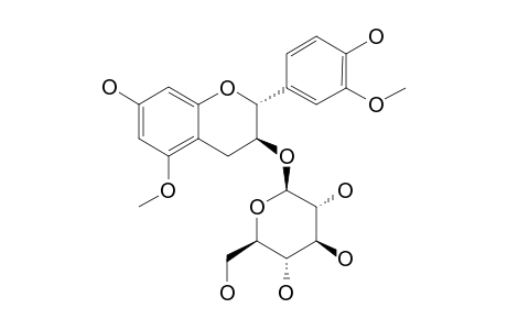 GLOCHIFLAVANOSIDE-D;(2R,3S)-3,7,4'-TRIHYDROXY-5,3'-DIMETHOXYFLAVAN-3-O-BETA-D-GLUCOPYRANOSIDE