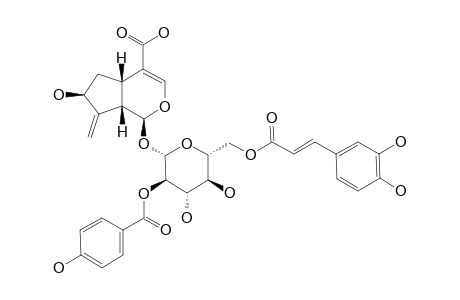 2'-O-PARA-HYDROXYBENZOYL-6'-O-TRANS-CAFFEOYLGARDOSIDE