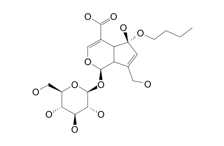 RHODOLATOUSIDE-A;1-O-BETA-D-GLUCOPYRANOSYL-1,4A,5,7A-TETRAHYDRO-5-ALPHA-BUTOXY-7-HYDROXYMETHYL-CYClOPENTA-[C]-PYRAN-4-CARBOXYLIC-ACID