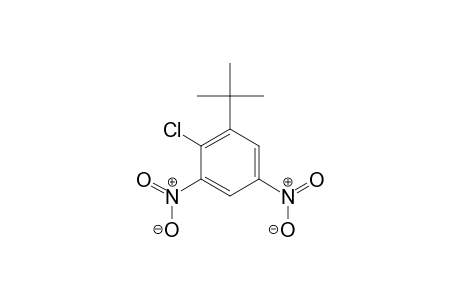 Benzene, 1-tert-butyl-2-chloro-3,5-dinitro-