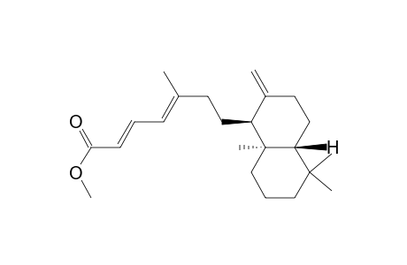 Methyl ester of [1S-(1.alpha.(2E,4E),4a.beta.,8a.alpha.)]-7-(decahydro-5,5,8a-trimethyl-2-methylene-1-naphthalenyl)-5-methyl-2,4-heptadienoic acid