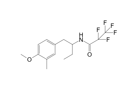 2,2,3,3,3-pentafluoro-N-(1-(4-methoxy-3-methylphenyl)butan-2-yl)propanamide