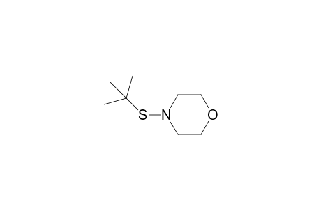 4-(tert-butylthio)morpholine