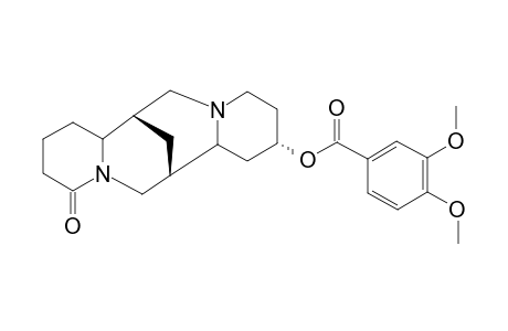 CINEVERINE;13-ALPHA-(3',4'-DIMETHOXYBENZOYL)-OXYLUPANINE
