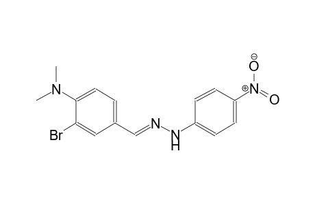 benzaldehyde, 3-bromo-4-(dimethylamino)-, (4-nitrophenyl)hydrazone