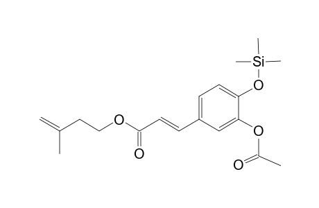 Caffeic acid <(E)-, 3-acetoxy-3-methyl-3-butenyl->, mono-TMS