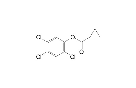 Cyclopropanecarboxylic acid, 2,4,5-trichlorophenyl ester