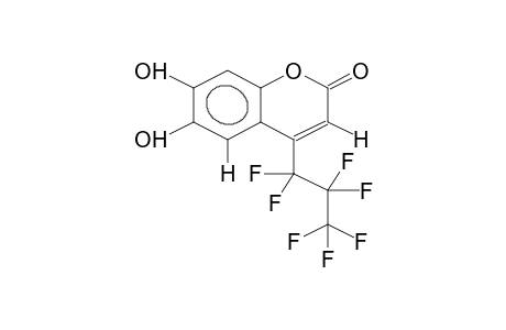 4-HEPTAFLUOROPROPYL-6,7-DIHYDROXYCOUMARIN