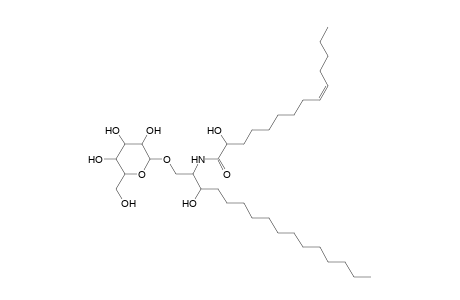 HexCer 16:0;2O/14:1;O