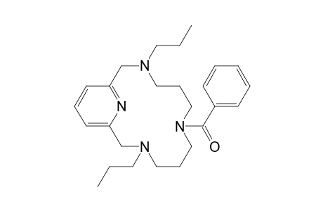 3,11-Dipropyl-7-benzoyl-3,7,11,17-tetraazabicyclo[11.3.1]heptadeca-1(16),13(17),14-triene