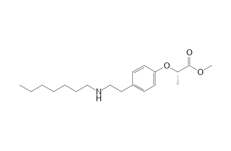 S-Methyl 2-[4-(2-heptylamino-ethyl)phenoxy]propanoate