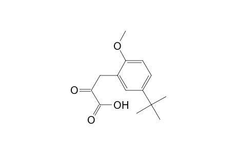 Benzenepropanoic acid, 5-(1,1-dimethylethyl)-2-methoxy-.alpha.-oxo-
