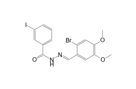 N'-[(E)-(2-bromo-4,5-dimethoxyphenyl)methylidene]-3-iodobenzohydrazide