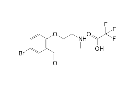 5-bromo-2-(2-methylaminoethoxy)-benzaldehyde trifluoro acetic acid