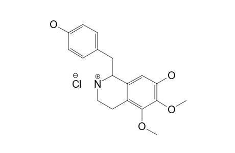 (+/-)-ANOMOLINE-HYDROCHLORIDE;1-(4'-HYDROXYBENZYL)-5,6-DIMETHOXY-7-HYDROXY-1,2,3,4-TETRAISOQUINOLINE-HYDROCHLORIDE