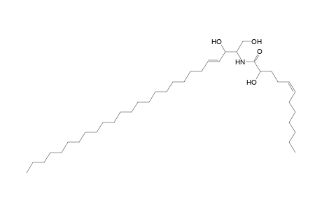Cer 26:1;2O/12:1;(2OH)